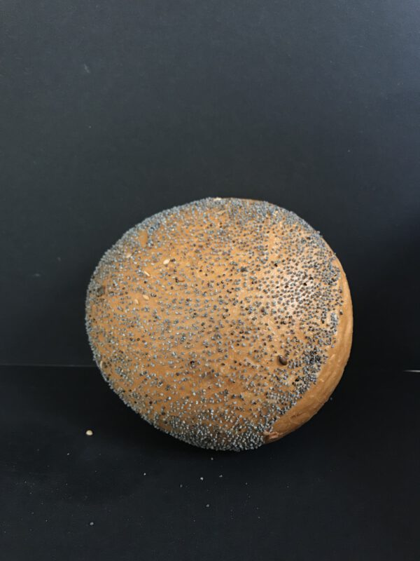 Harde witte bol met maanzaad (wit krokant kleinbrood gedecoreerd met maanzaad)