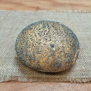 Harde witte bol met maanzaad (wit krokant kleinbrood gedecoreerd met maanzaad)